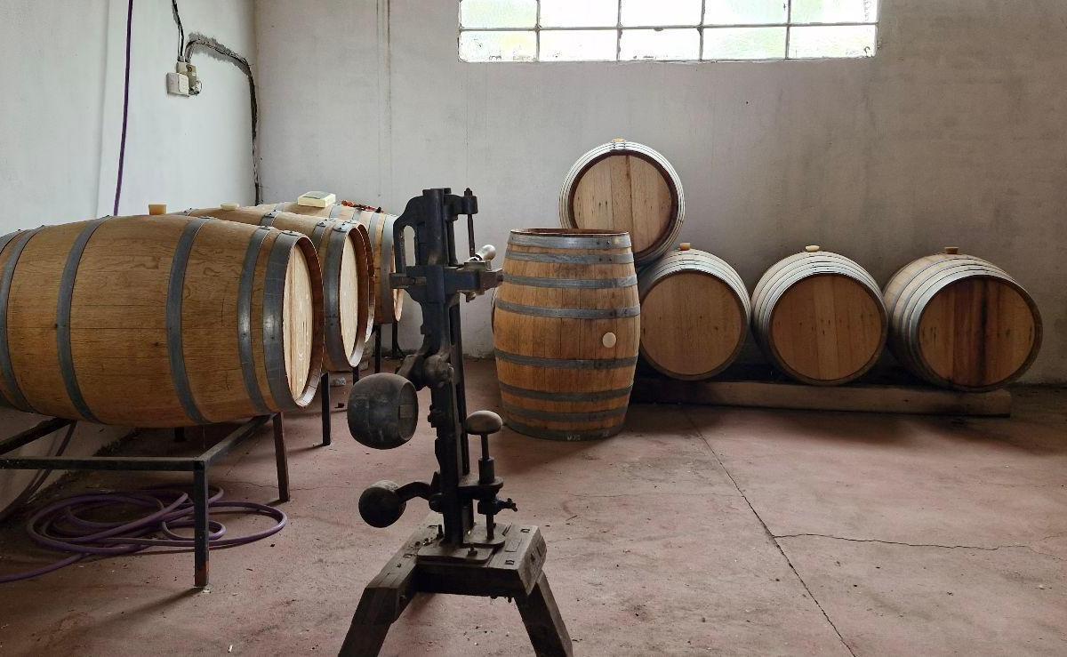 Finca, Bodega Artesanal y Casa en San Rafael, Medoza. 3
