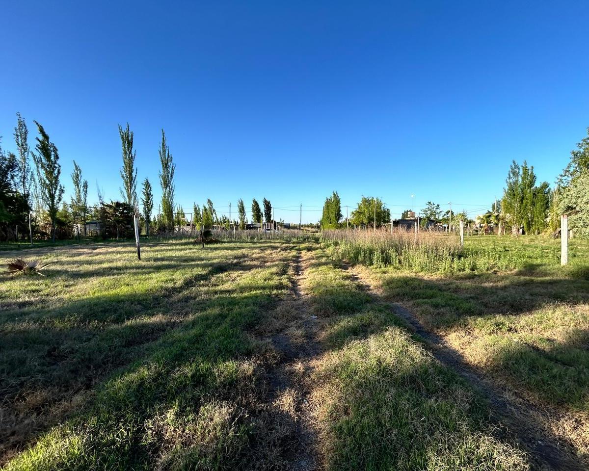 Lote con Construcción Comercial a Terminar en Corralitos, Guaymallén. 5