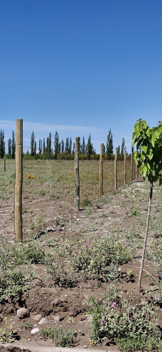 Loteo Tirasso Norte Semi Privado San Rafael, Mendoza 2