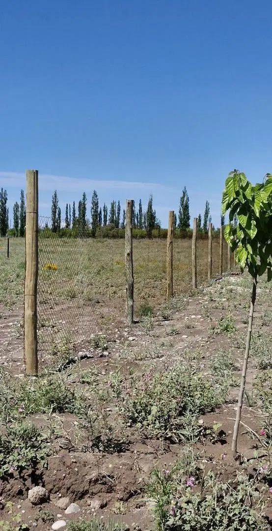 Loteo Tirasso Norte semi privado San Rafael, Mendoza 5