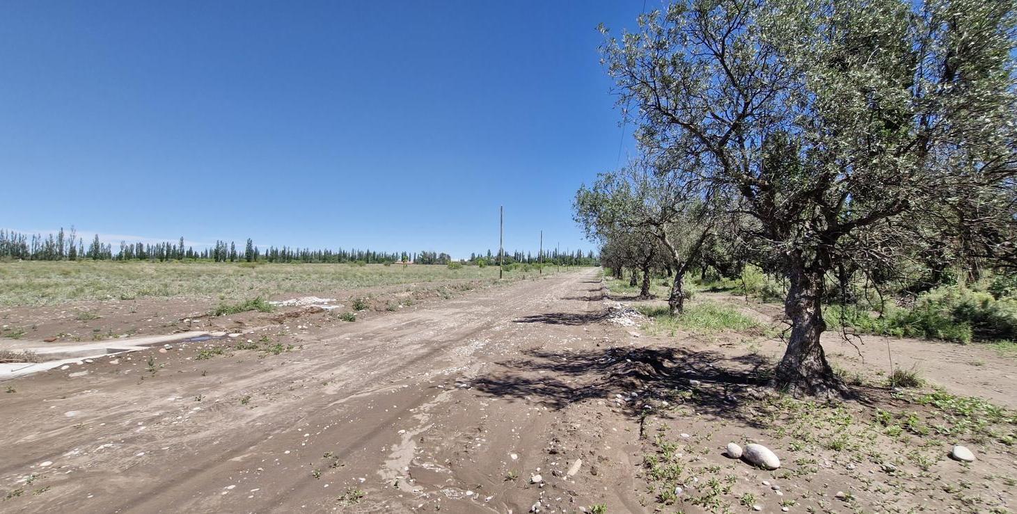 Loteo Tirasso Norte semi privado San Rafael, Mendoza