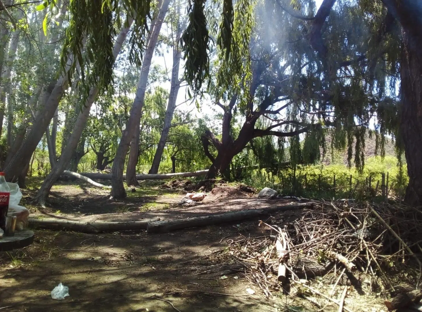 Se vende terreno 1,7ha entero o fracción en calle la quebrada, Los Chacacyes. Empalme RP89, Tunuyan. 2