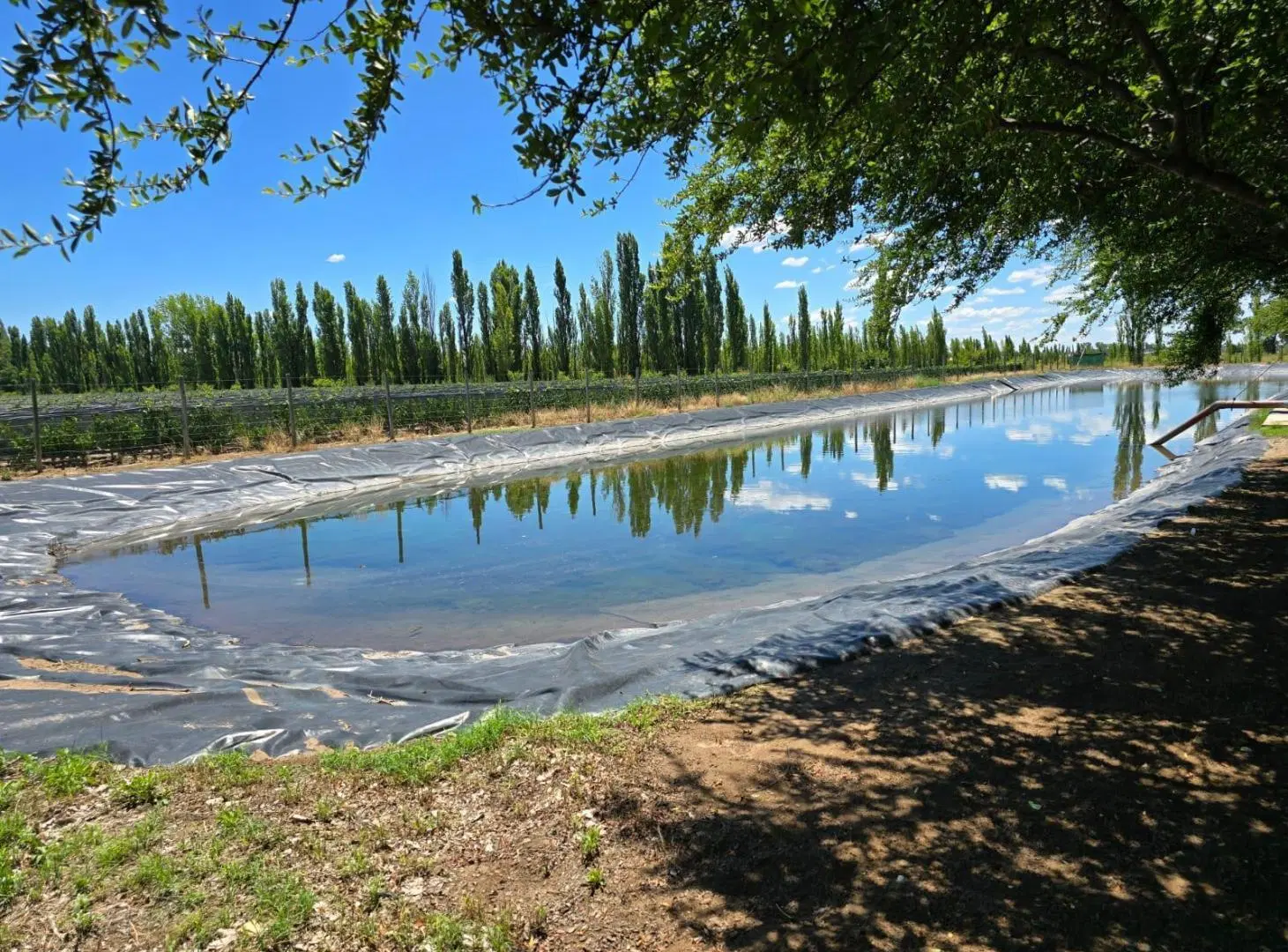 Finca y Casa con pileta en Venta en Las Paredes, San Rafael 5