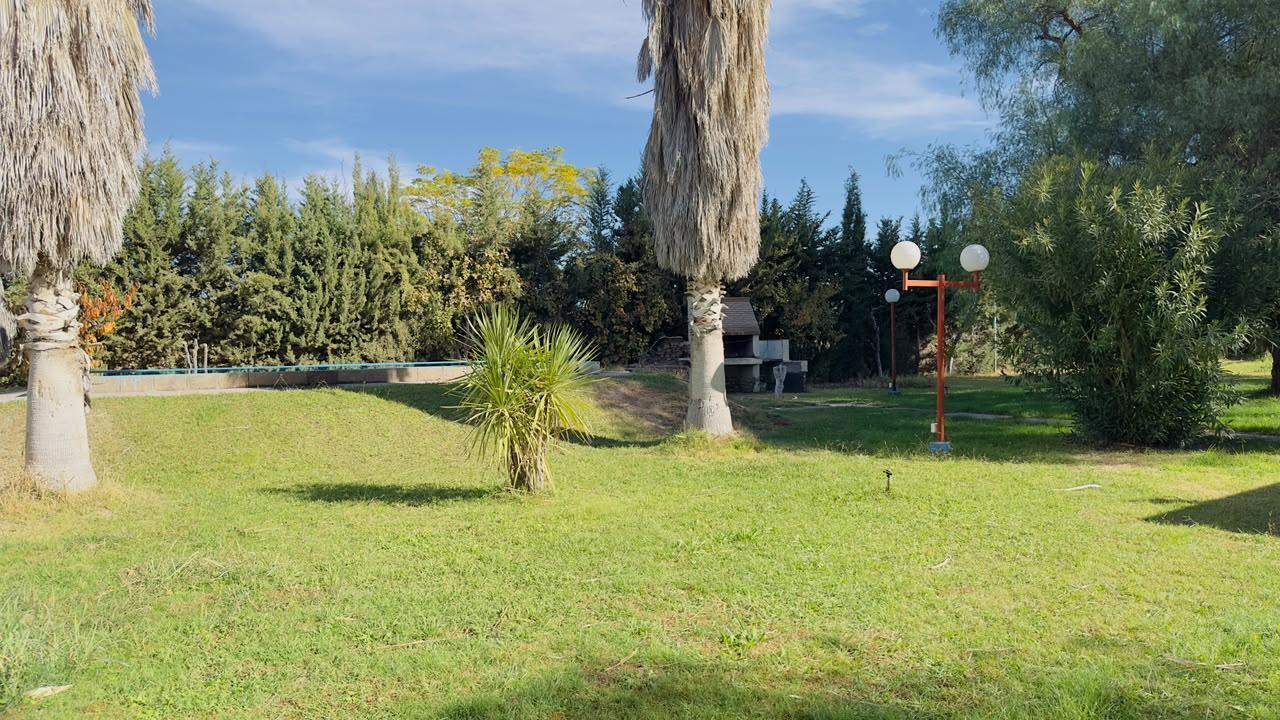 Finca Productiva de 62 Ha en venta- Excelente Ubicación. Barrancas, Maipú