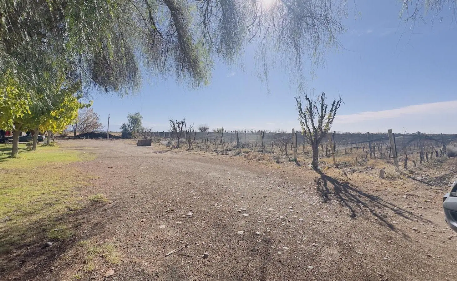 Finca Productiva de 62 Ha en venta- Excelente Ubicación. Barrancas, Maipú 5
