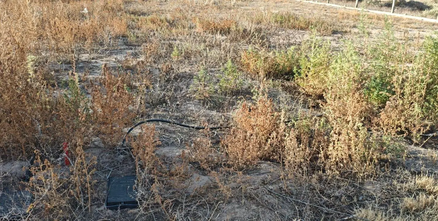 Terreno en venta en barrio privado "Terrazas del Algarrobal", El Algarrobal, Las Heras 2