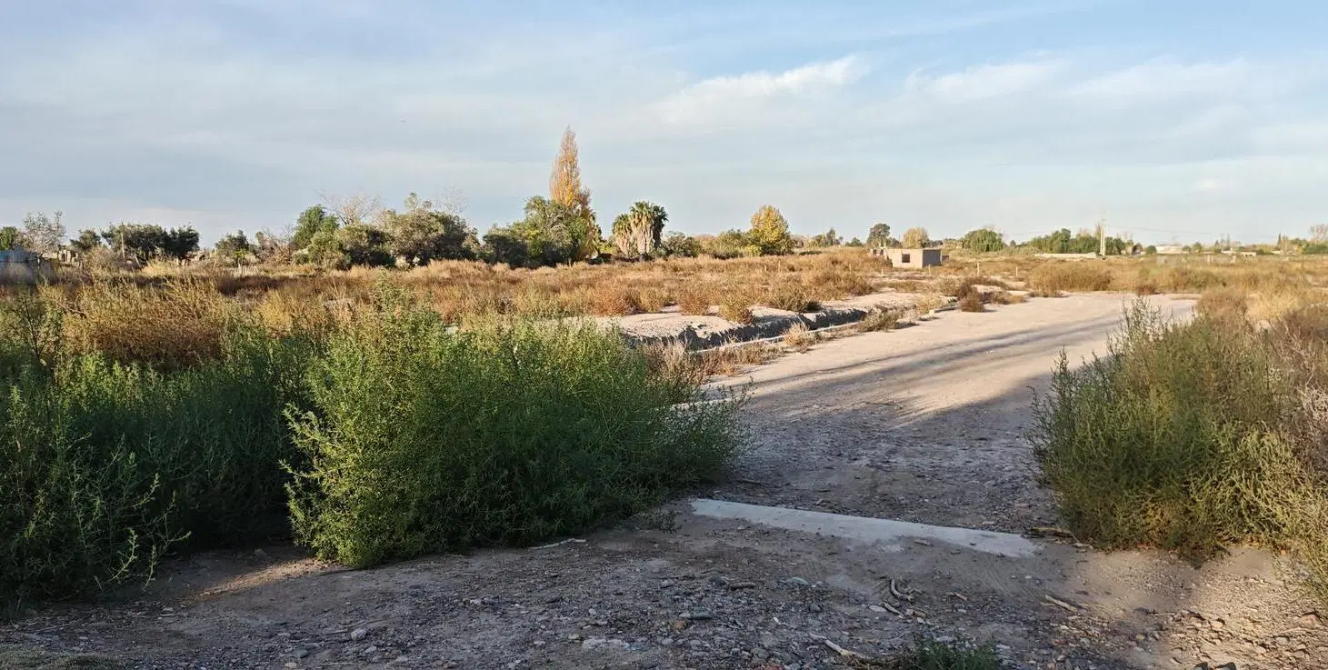 Terreno en Rodeo De La Cruz calle Milagros s/n 8