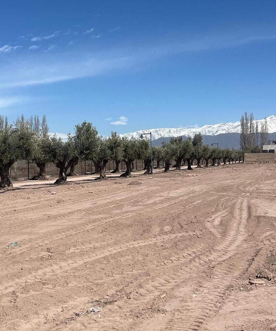 Foto de Lotes en Vistalba Reserve, Vistalba, Luján de Cuyo, imagen 3