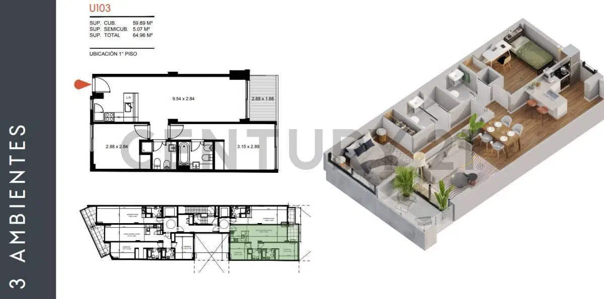 Plano 6