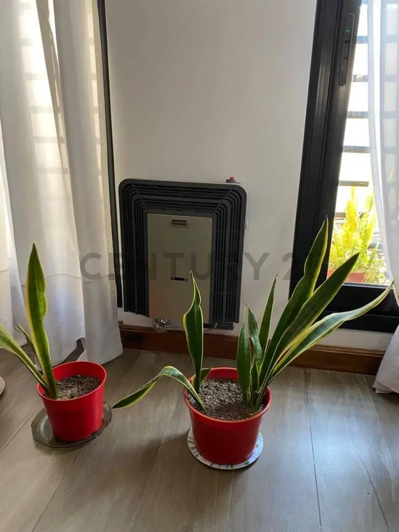 Venta Casa 5 Ambientes Temperley Pileta Jardín Garaje zona residencial 8