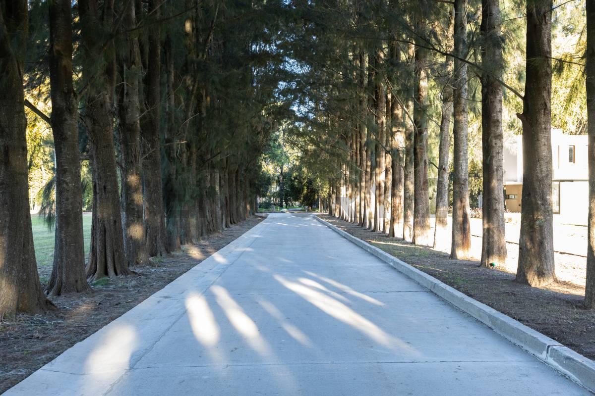 Foto de Venta de Lotes Canning Barrio Privado Lares de Canning 600m2, imagen 5