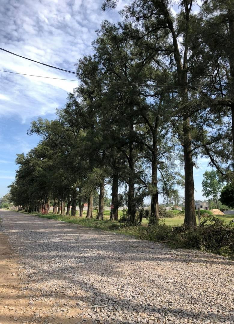 Foto de VENTA LOTE EN BARRIO CERRADO EL SOLAR- MARIANO ACOSTA, imagen 4