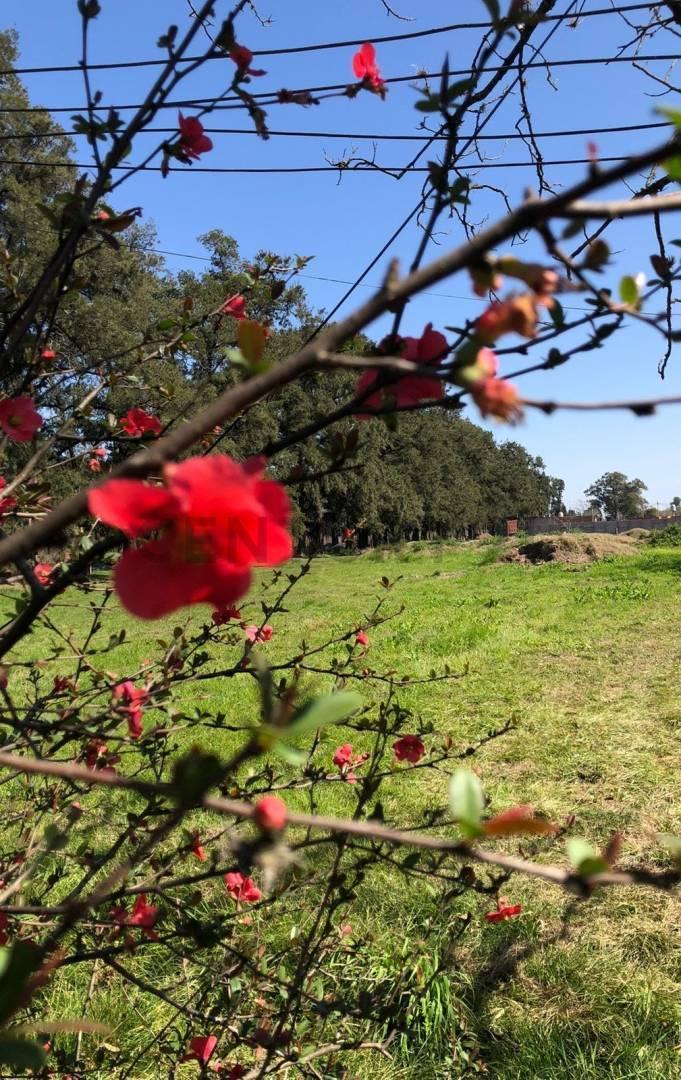 Foto de VENTA LOTE EN BARRIO CERRADO EL SOLAR- MARIANO ACOSTA, imagen 5