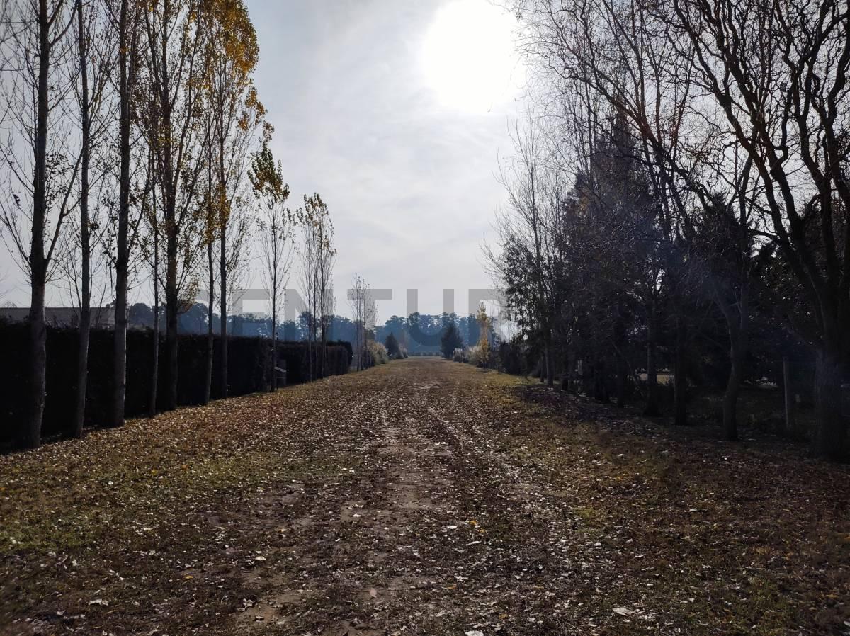 Foto de Venta lote Barrio Lomas de Petión, imagen 3
