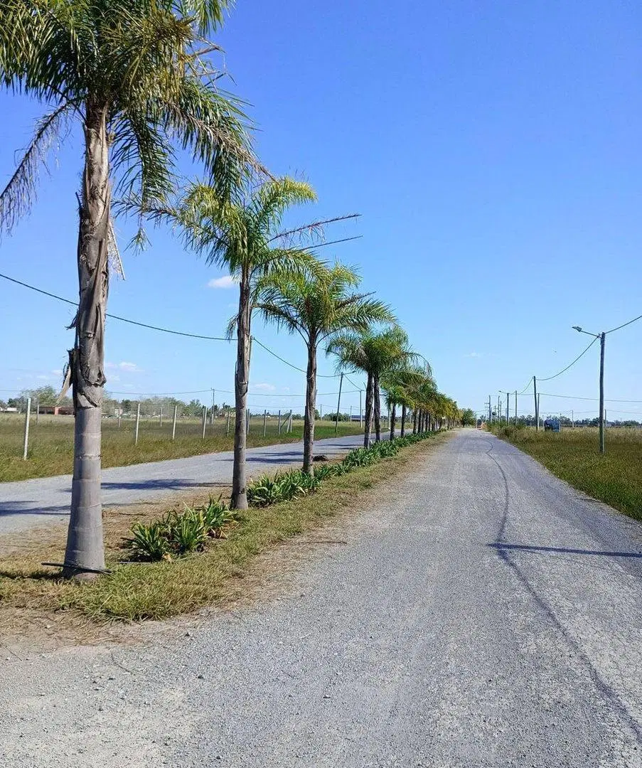 Terreno en Venta en Praderas de Cardales I Lote 47 4