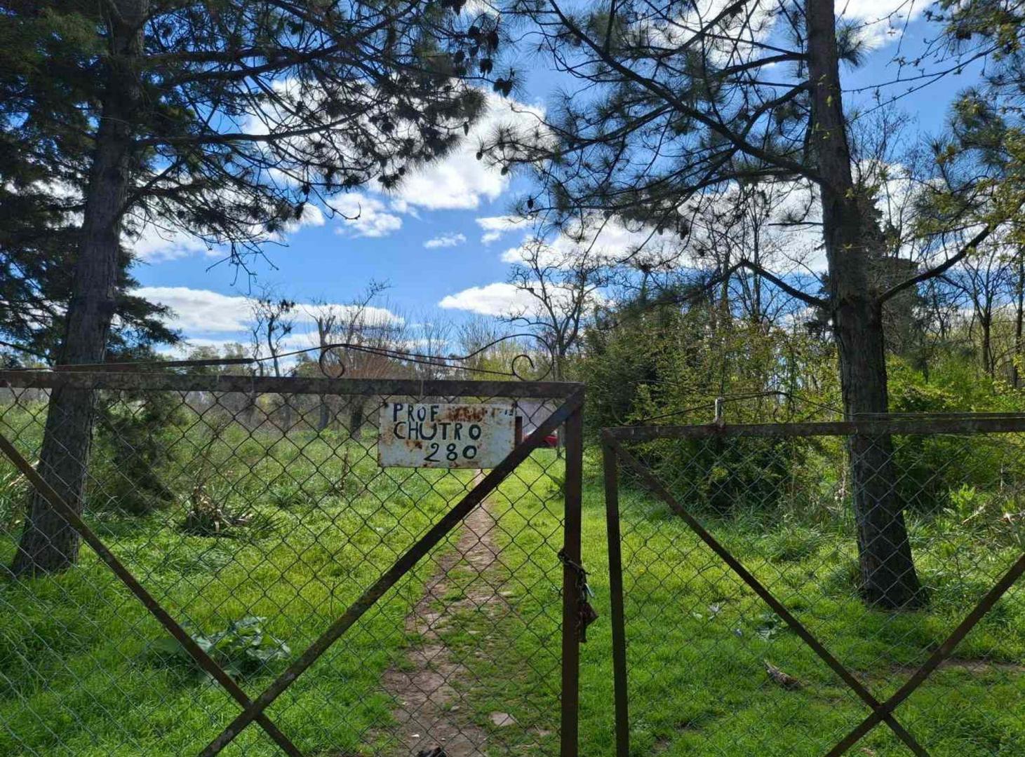 Foto de VENTA FRACCION 5,4 HA GRAL RODRIGUEZ. INVERSIÓN, imagen 4