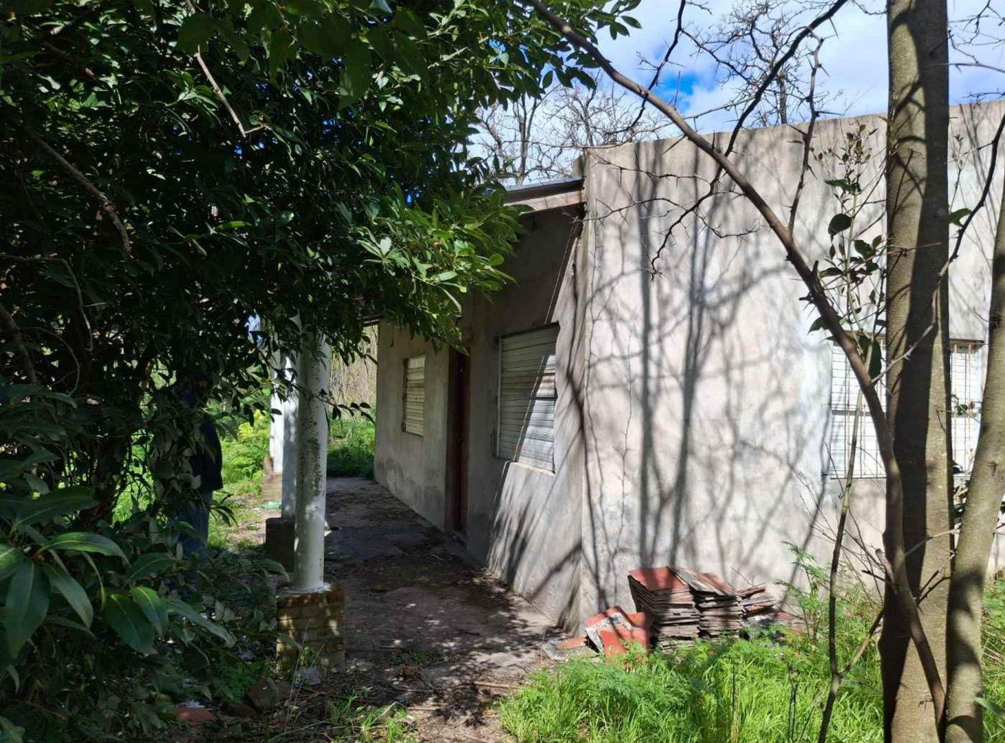 Foto de VENTA FRACCION 5,4 HA GRAL RODRIGUEZ. INVERSIÓN, imagen 5