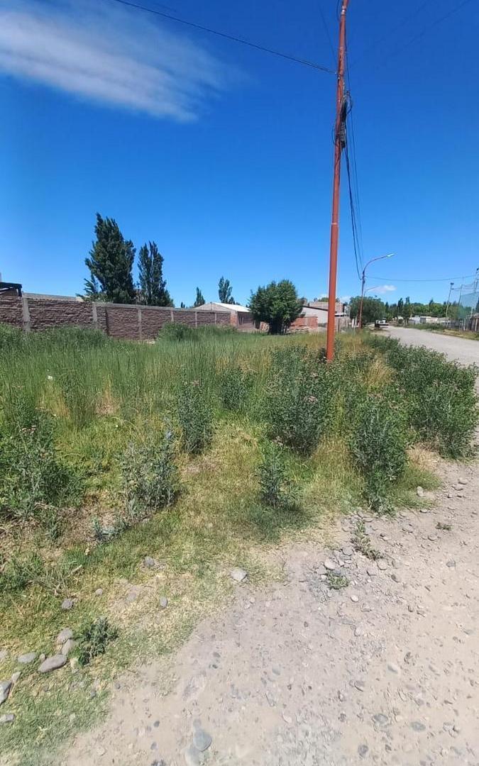 Terreno en  Cinco Saltos calle Ramos Mejía