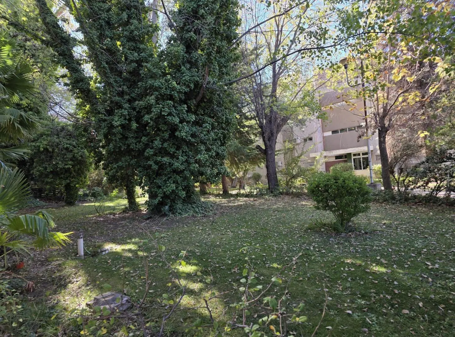 Departamento en Capital 5