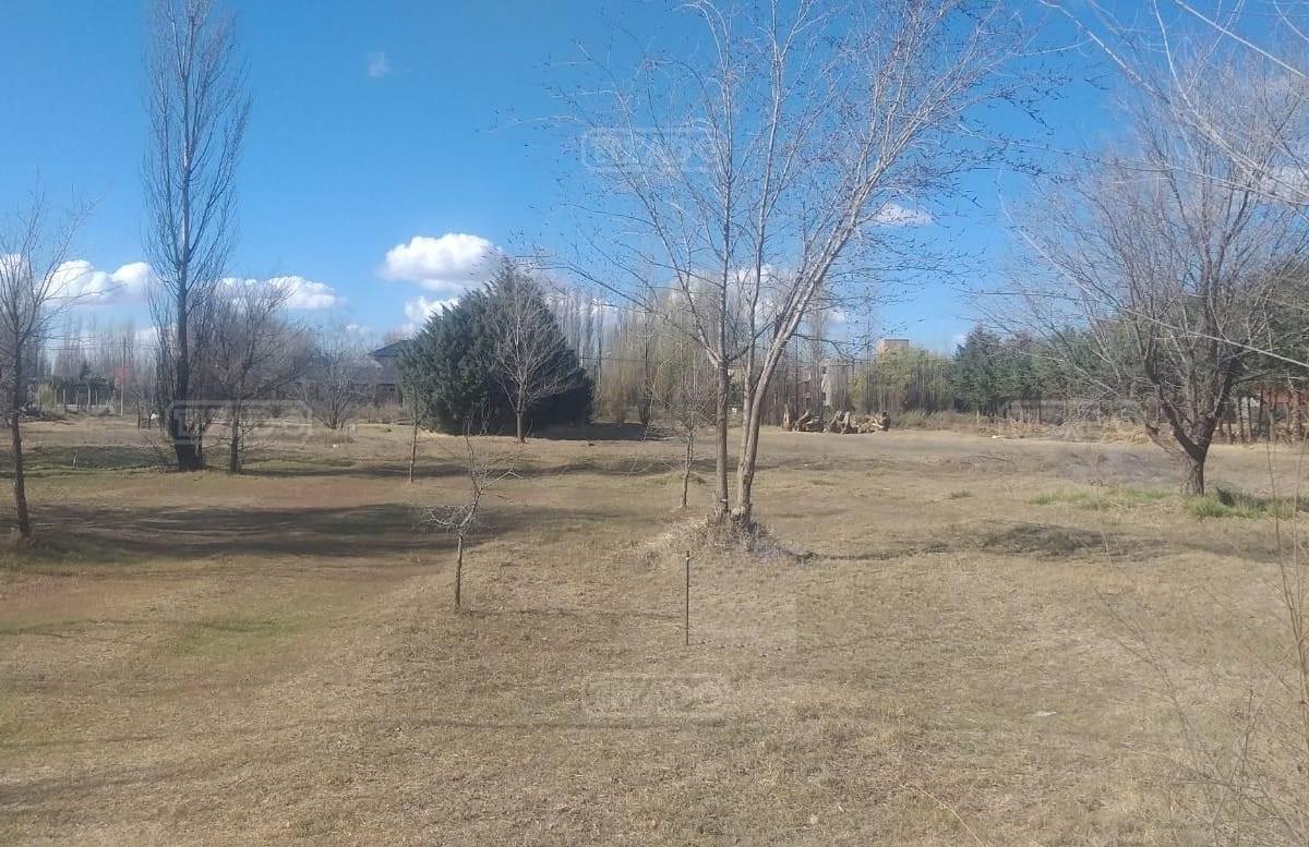 Terreno Lote en Venta Ubicado en Plottier, Neuquén, Patagonia 4