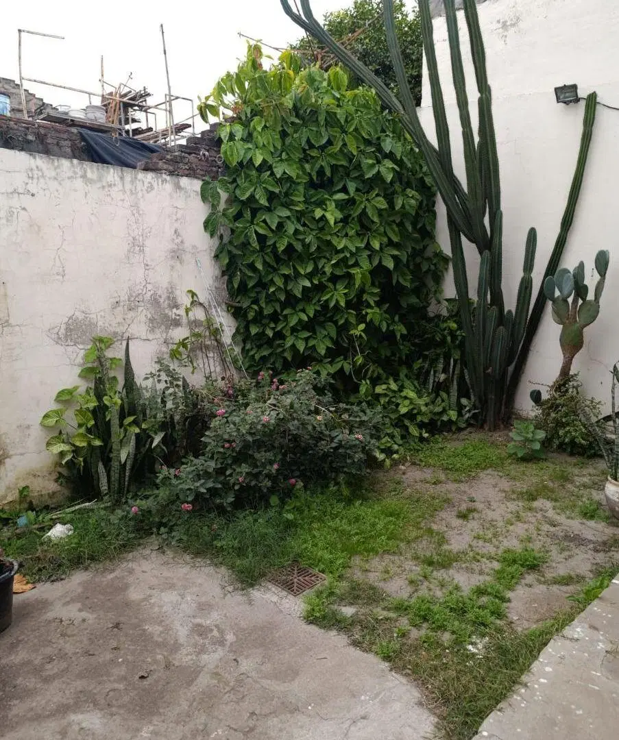 Casa en Planta Baja con todos los servicios. 8