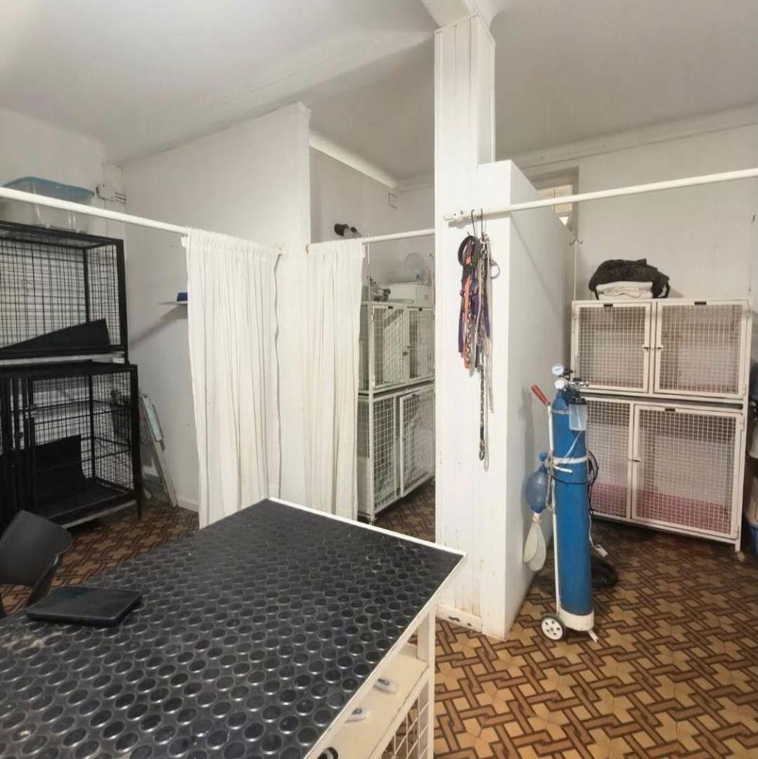 Foto de ALQUILER CASA, LOCAL O CLINICA EN GRAL PAZ Y JAVIER DE LA ROSA, imagen 3