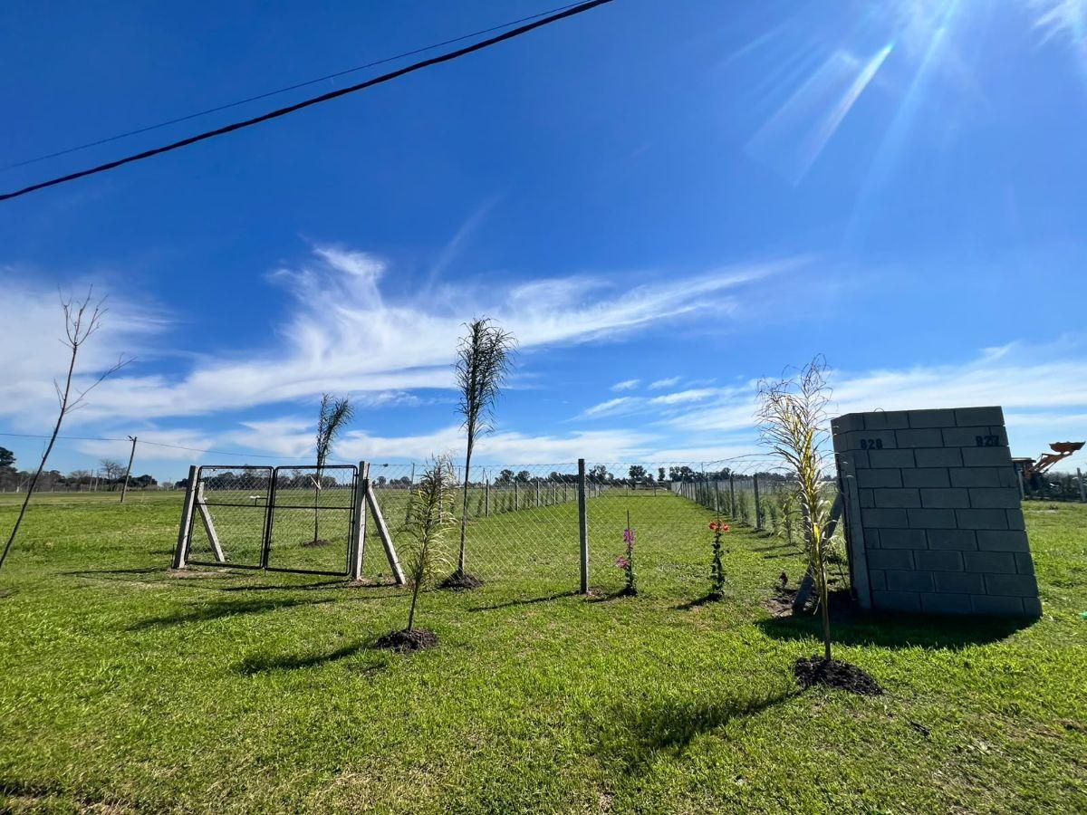 Foto de Terreno de 300 m² en venta en Mariano Acosta, imagen 1