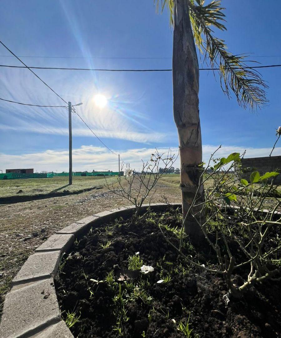 Foto de Terreno de 300 m² en venta en Mariano Acosta, imagen 3
