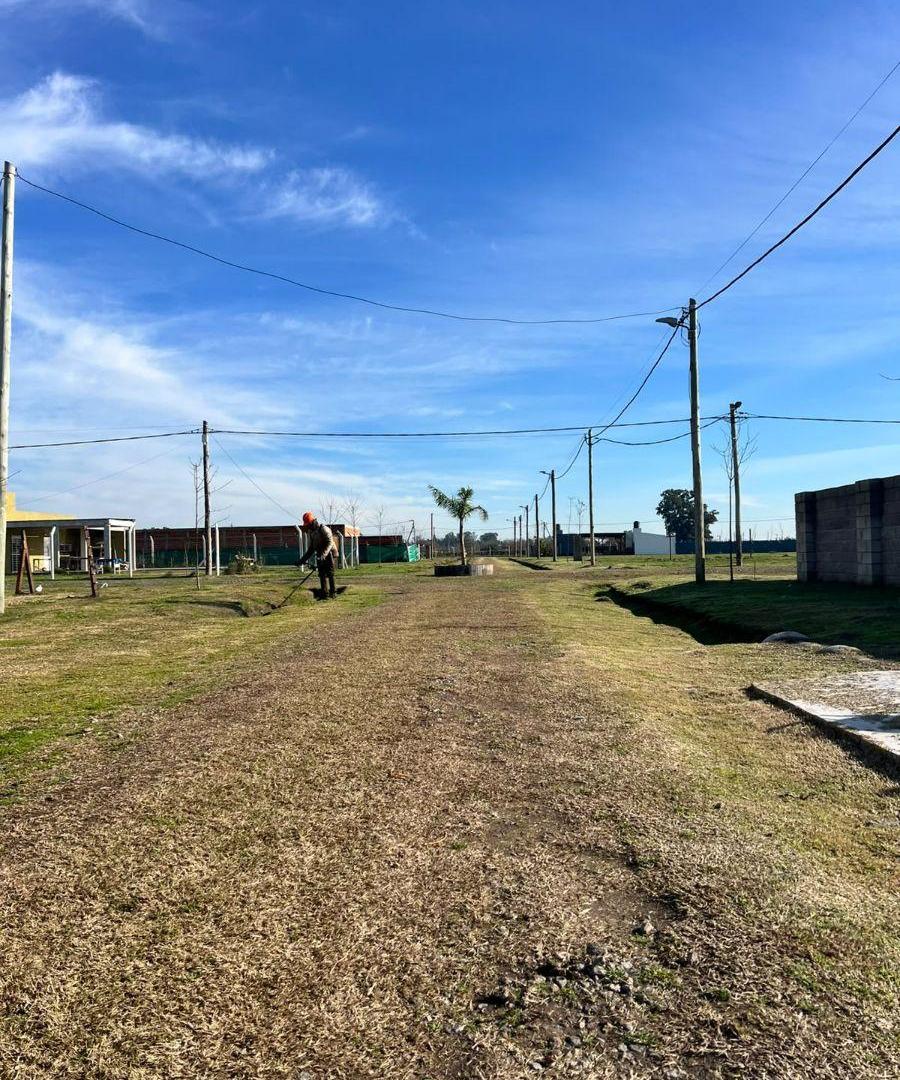 Foto de Terreno de 300 m² en venta en Mariano Acosta, imagen 4