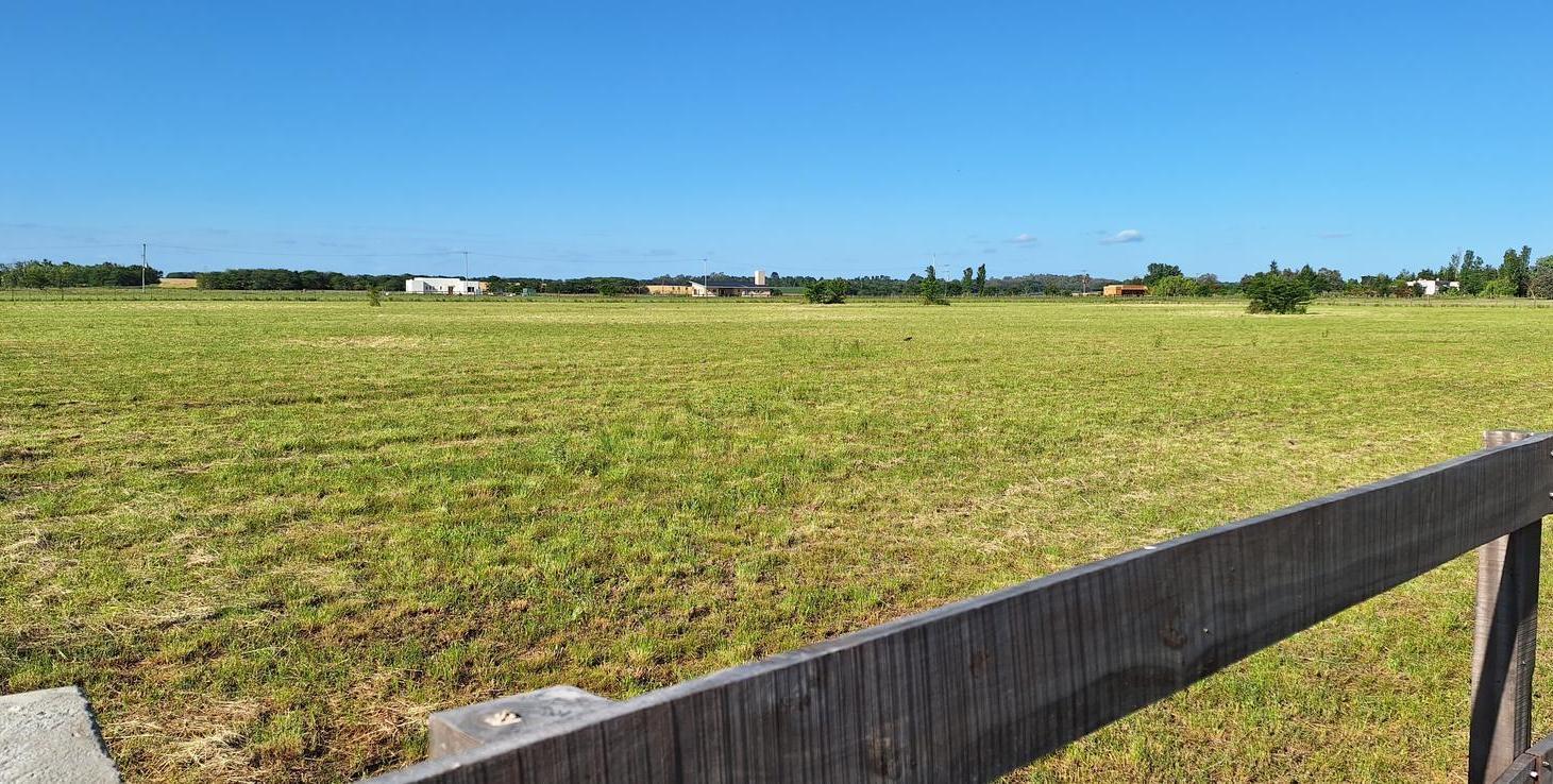Chacra | Venta | Zarate |15000 M2