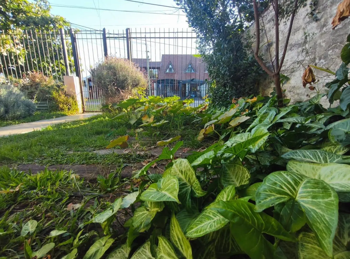 Casa en venta de 5 ambientes en 2 plantas - Hurlingham - jardin patio y terraza techada 5