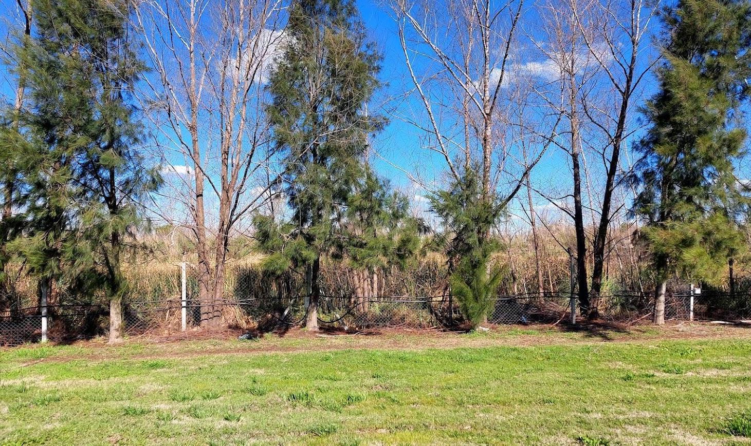 Foto de Lote / Terreno en venta en El Naudir-790m2, Escobar GBA Norte, imagen 5