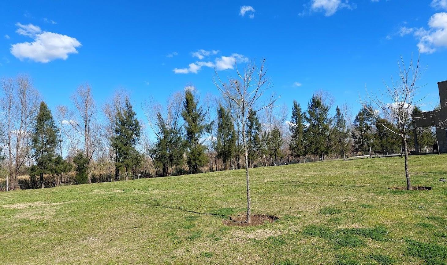 Foto de Lote / Terreno en venta en El Naudir-790m2, Escobar GBA Norte, imagen 3