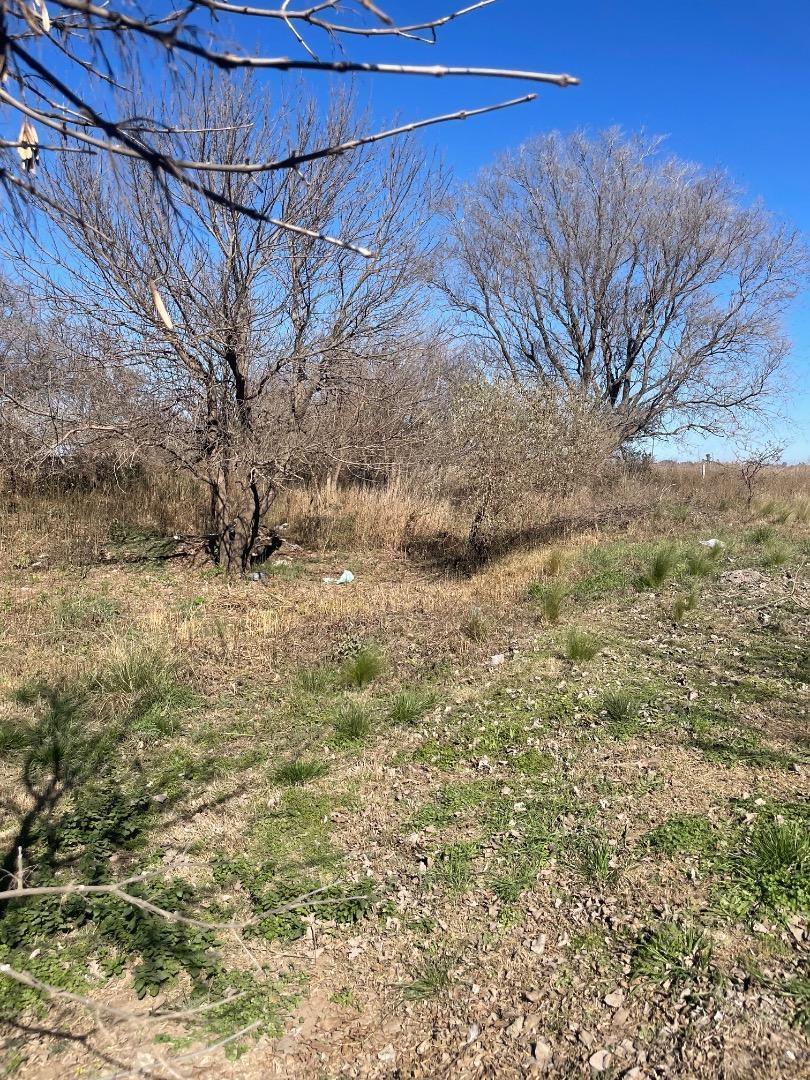 Foto de Chacra de 6.071 m² en El Chañaral - Río Segundo - Con Escrit, imagen 4