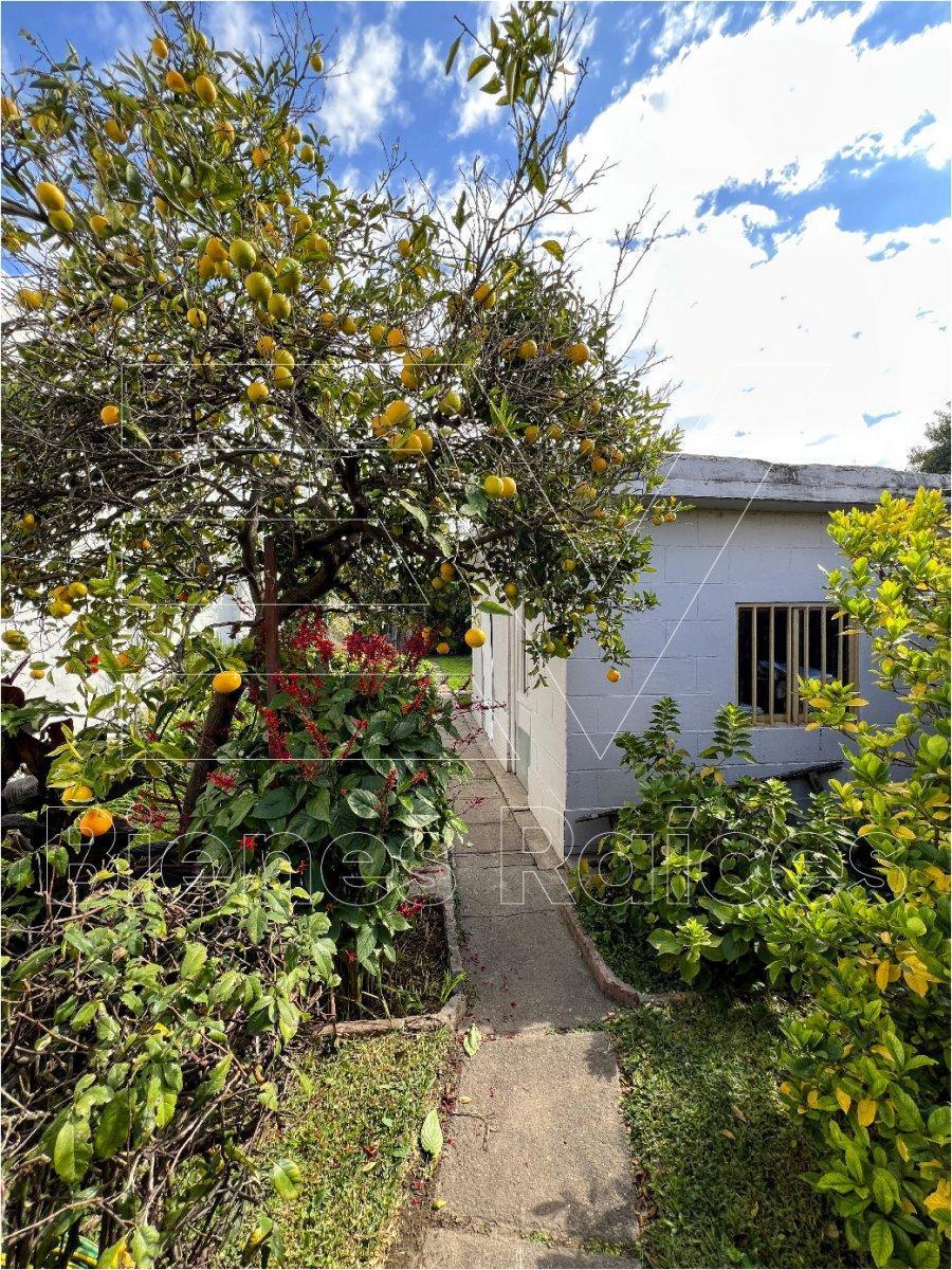 Venta. Apto Credito. Propiedad Barrio Colon con Gran Patio y Parquizacion. Escritura 5