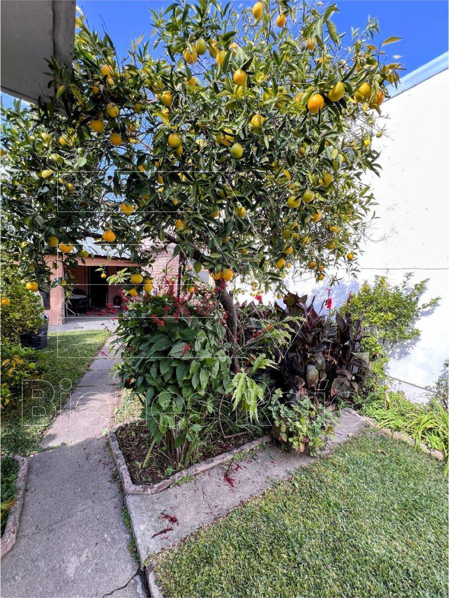 Venta. Apto Credito. Propiedad Barrio Colon con Gran Patio y Parquizacion. Escritura 5