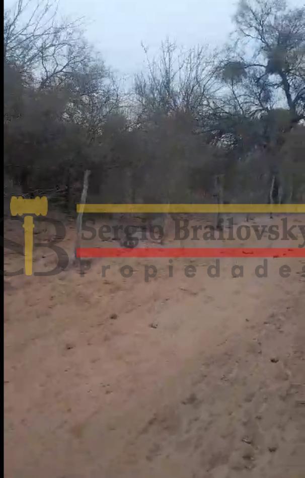 Foto de SE VENDE CAMPO DE 100 HA Candelaria San Luis, imagen 5