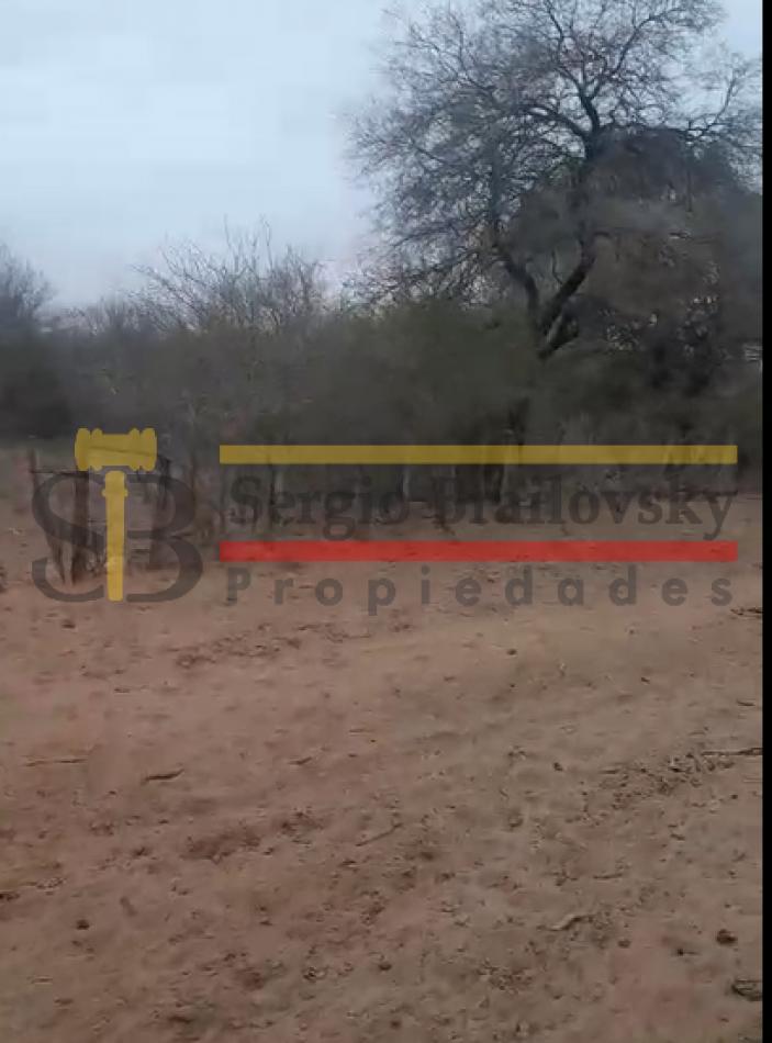Foto de SE VENDE CAMPO DE 100 HA Candelaria San Luis, imagen 3