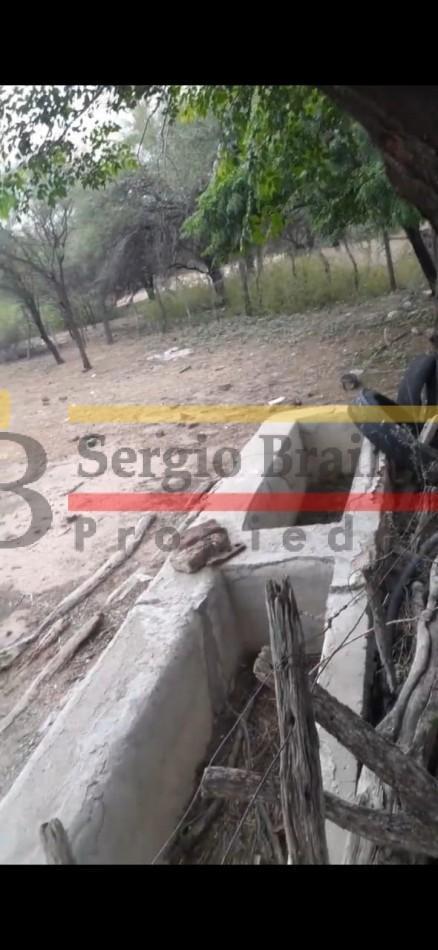 Foto de SE VENDE CAMPO DE 150 HA Candelaria San Luis, imagen 4