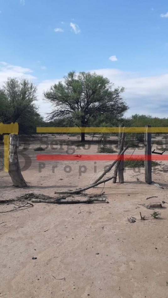 Foto de SE VENDE CAMPO DE 150 HA Candelaria San Luis, imagen 5