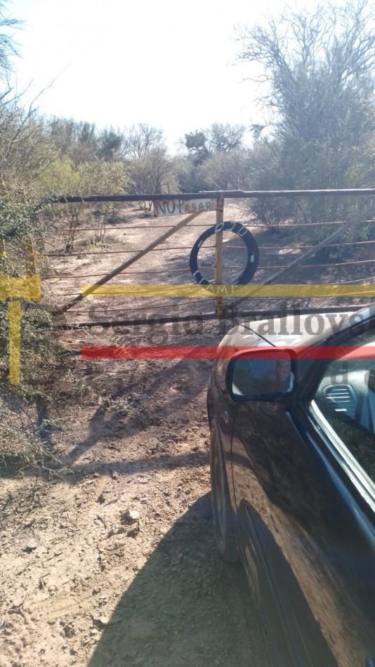 Foto de SE VENDE CAMPO DE 150 HA Candelaria San Luis, imagen 5