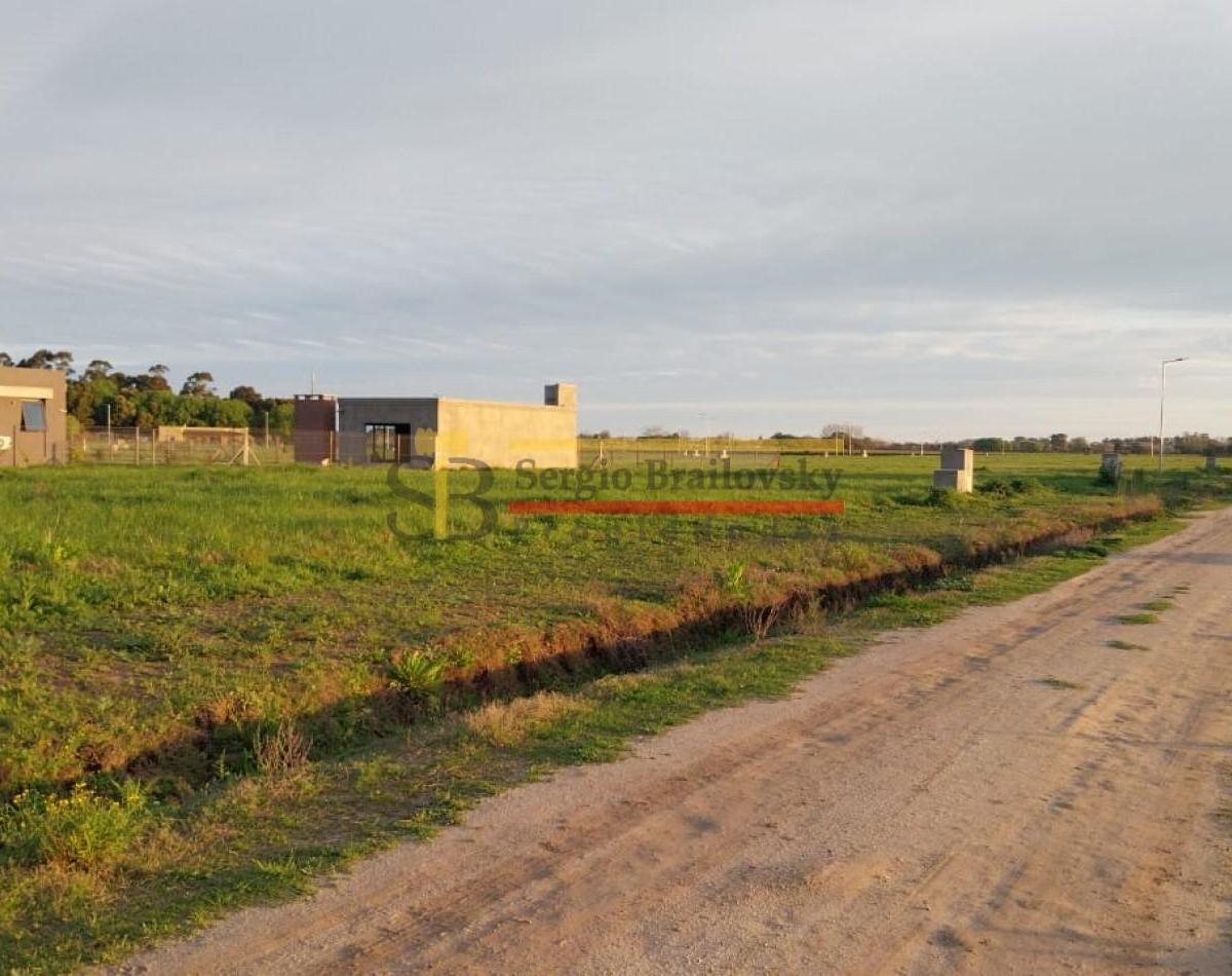 Foto de Loteo Los Alamos Ultimos lotes disponibles- Gral. Madariaga, imagen 3