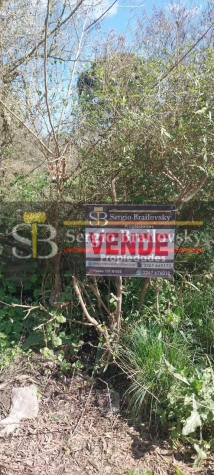 Foto de Lote en venta - General Madariaga, imagen 1