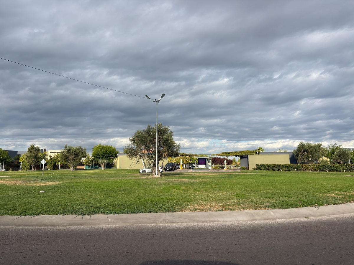 Lote en Lomas del Torreón 4