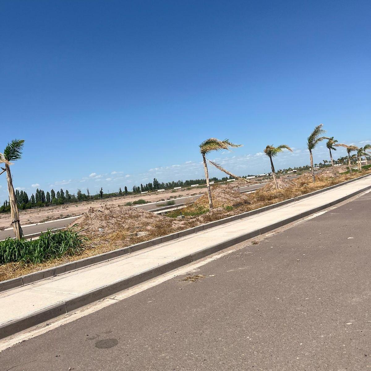Venta - Lote - Las Palmas 5