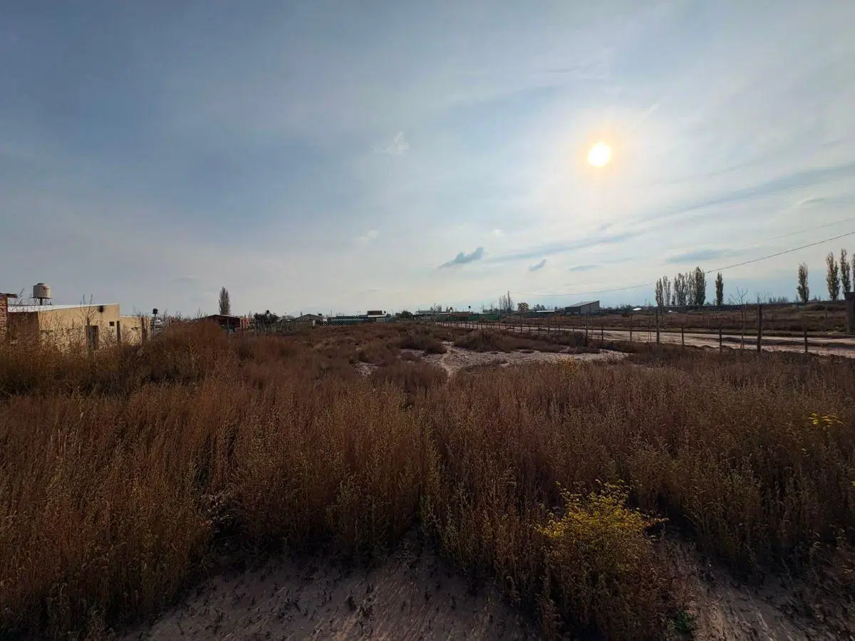 Venta - Lote 2.500m2 (6 lotes) - Lujan de Cuyo (Perdriel - Roncón de Cobos) 1