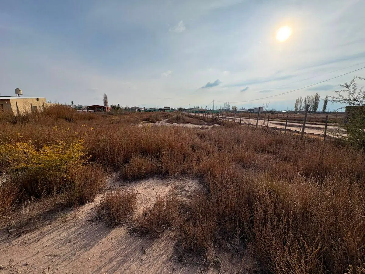 Venta - Lote 2.500m2 (6 lotes) - Lujan de Cuyo (Perdriel - Roncón de Cobos) 2