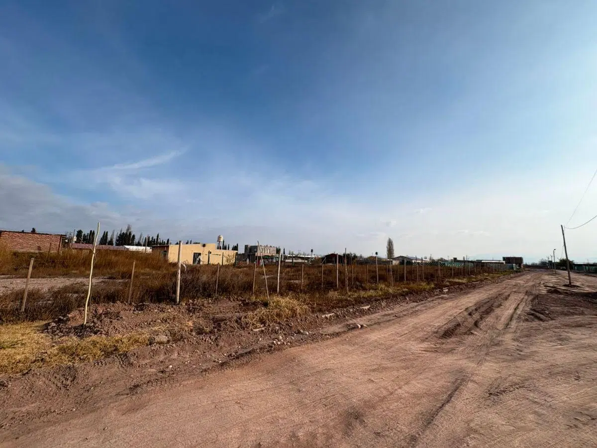 Venta - Lote 2.500m2 (6 lotes) - Lujan de Cuyo (Perdriel - Roncón de Cobos) 4