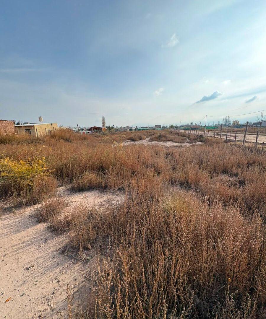 Venta - Lote 2.500m2 (6 lotes) - Lujan de Cuyo (Perdriel - Roncón de Cobos)