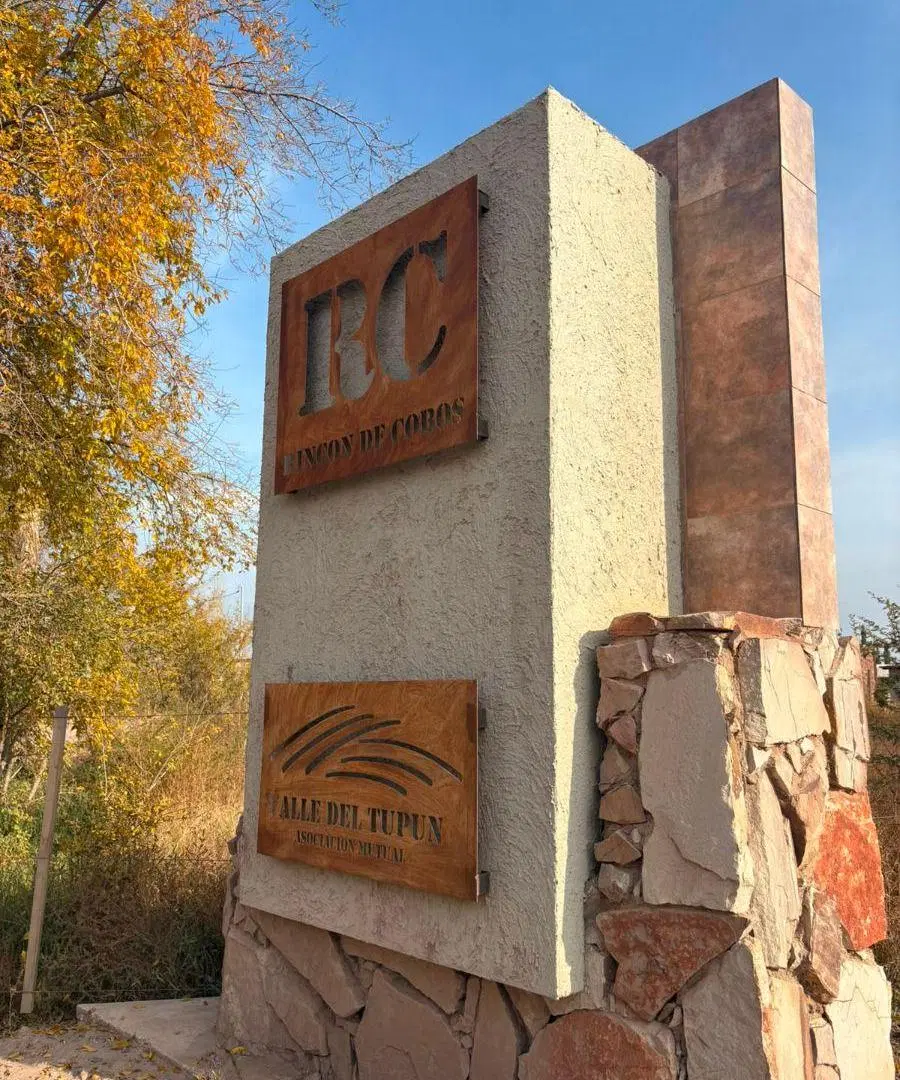 Venta - Lote 2.500m2 (6 lotes) - Lujan de Cuyo (Perdriel - Roncón de Cobos) 5